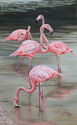 FLAMINGOS